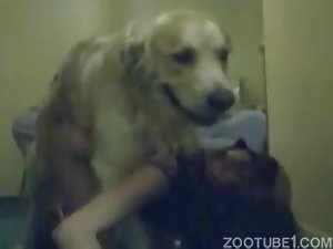 Cão feliz fodendo sua dona safadinha magrinha