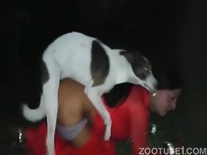 Mulher dando o cu pro cachorro