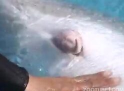 Treinador de golfinhos praticando zoofilia