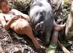 Amadora no meio da mata fazendo sexo com porco