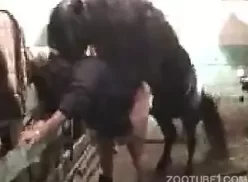 Cavalo deixando a esposa gostosa sem andar em video