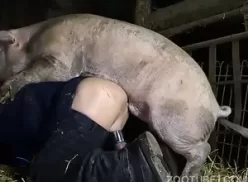 Homem fazendo video amador olhando para os animais