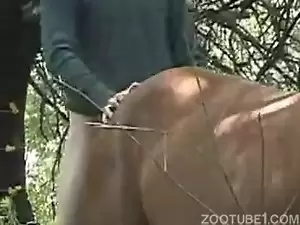 Homem metendo a rola na sua égua no mato