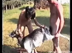 Marido comendo cabra na frente da esposa magra