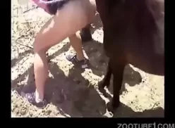 Mulher puta deixando cavalo meter dentro da sua xota