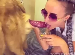 Mulher chupando a rola do cachorro pela primeira vez